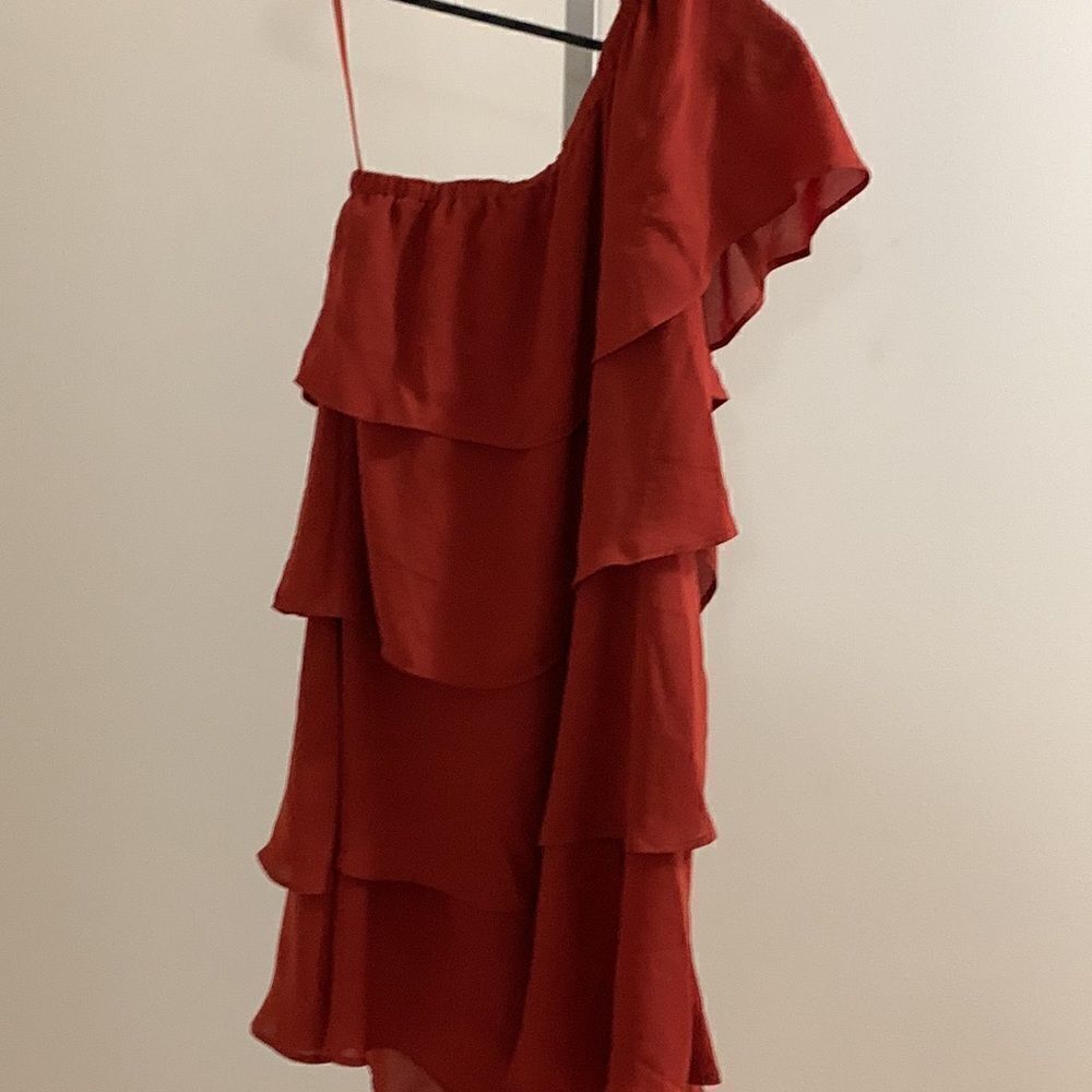 ALICE & UO Ruffle dress - Picture 6 of 10